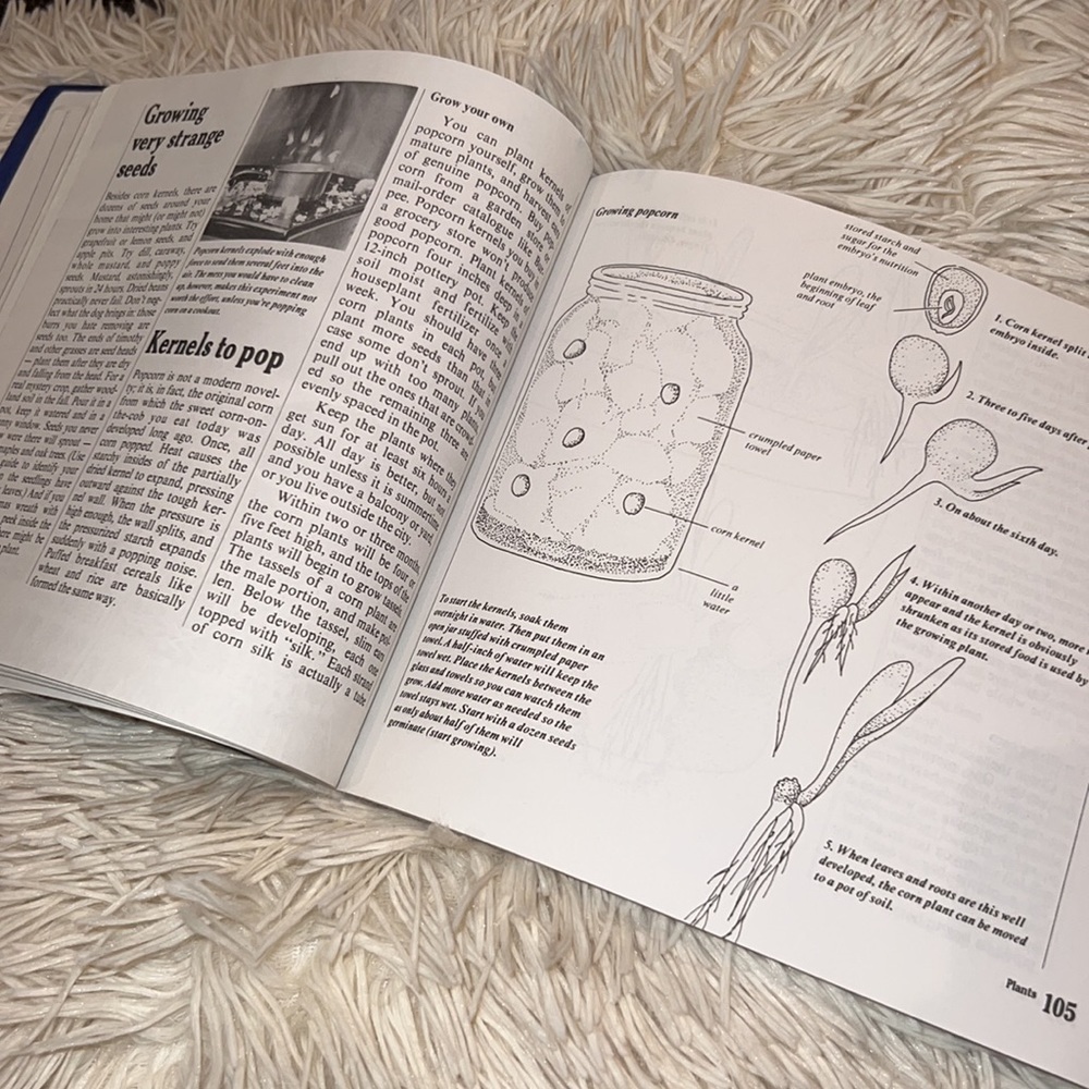 The Science Book by Sara Stein feast for young science explorers and scientists - Picture 7 of 14